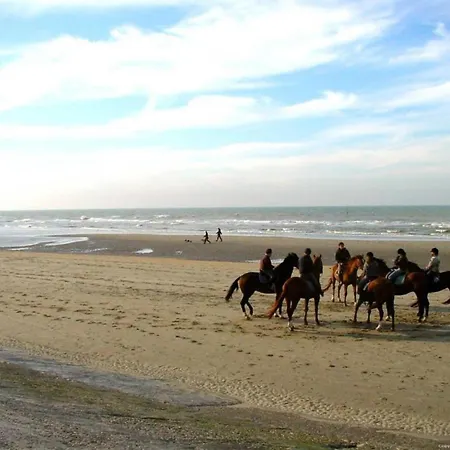 Διαμέρισμα In Near The Blankenberge